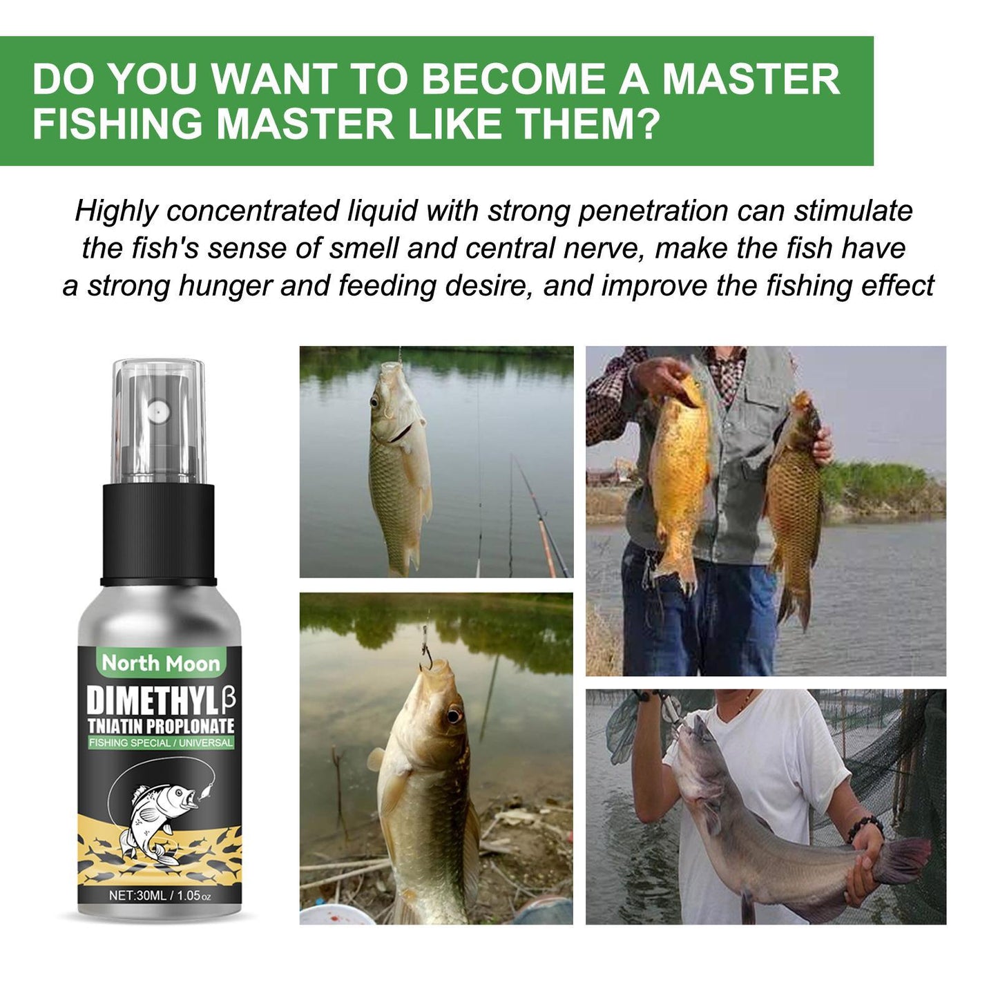 Igbang Wild Fishing Bait Small Medicine Fish Attractant