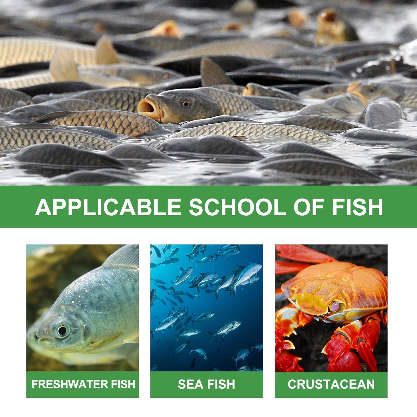 Igbang Wild Fishing Bait Small Medicine Fish Attractant